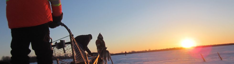 Ice Roads – dog sledge