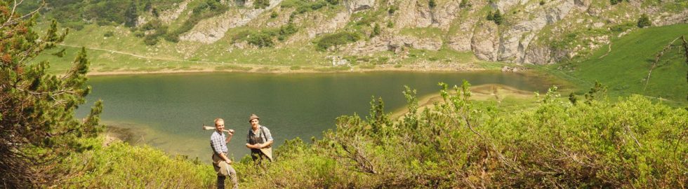 Wurzelgraben über dem Funtensee