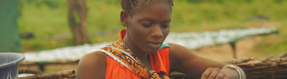 market at Lake Malawi